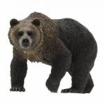ロシアのニキータ君(11)、女友達２人に「勇敢な所を見せる」と熊の檻に入り死亡。