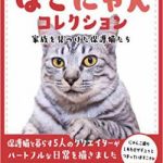 【悲報】保護猫活動家さん、保護した猫が病気だった為3日でリリース。